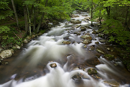 Little Stoney Creek in Spring, Jefferson National Forest, VA
